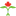 settlement.org-logo